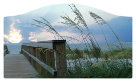 DASHELL-125 Crossing Over (Boardwalk)